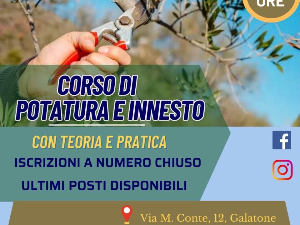 Potatura e Innesto